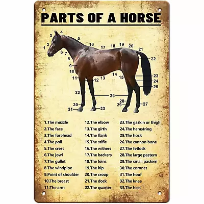 Horse Knowledge Metal Tin Sign Parts Of Horse Retro Poster Cafe Farm Living Room • $14.87