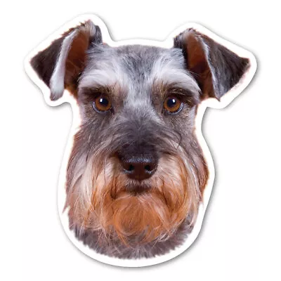 Miniature Schnauzer Magnet • $3.49