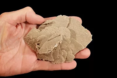 $9.99 • Buy DESERT SELENITE Sand Rose 5  7 Oz Raw Rock Mineral Specimen Healing Crystal