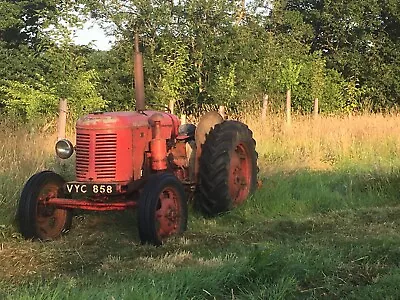 1956 David Brown 25D Tractor In Original Unrestored Condition Runs And Drives. • £2800