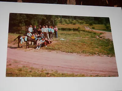 Mifflinburg Pa - 1968 Postcard - Mount Luther Camp - Kids - Union County • $5.95