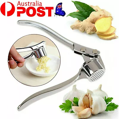 Stainless Steel Garlic Press Crusher Rocker Rocking Mincer Squeezer Kitchen Tool • $13.32