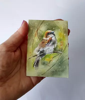 Original Not A Print ACEO Watercolour Miniature Signed. Sparrow. Collectable. • £8