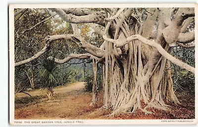 Great Banyan Mystical Majestic Tree ~Publ: Detroit #70190 Postcard -L1 • $4.27