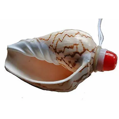 Fair Trade Vietnamese Sea Shell Horn / Flute / Vuvezela With Neck Cord • $32.79