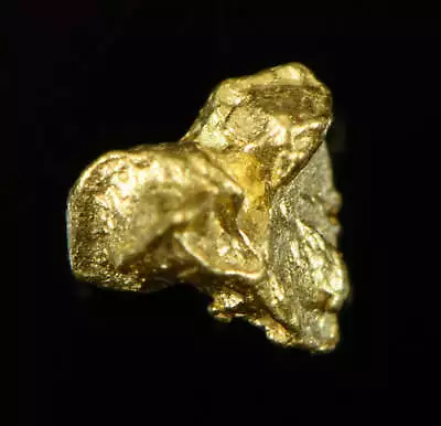 Natural Gold Nugget Australian .31 Gram Genuine • $32.12