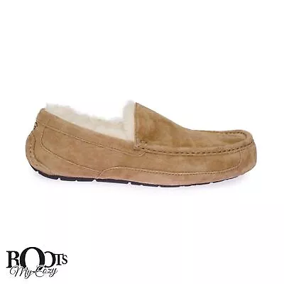 Ugg Ascot Wide Chestnut Sheepskin Men's Moccasin Slippers Size Us 12/uk 11 New • $84.99