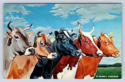 Vintage Postcard Five Queens Cows Animal Brown Swiss Jersey Holstein Ayrshire • $4