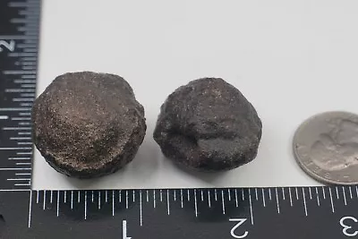 Moqui Marbles - Pair - 38g  PRE-BAN  (Shaman Stone Sandstone Concretion) #rep14 • $22.49
