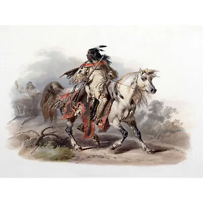 £8.99 • Buy Painting Native American Bodmer Blackfoot Horseback Poster Art Print Bb12247b