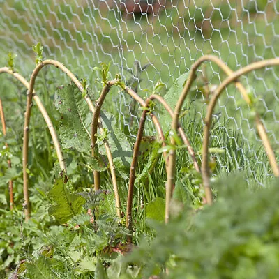 £6.99 • Buy 5-10m Galvanised Chicken Wire Mesh Netting Garden Fencing Aviary Fence Plant Net