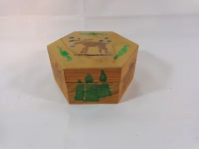 Wood Trinket Box Brown Moose Green Pine Trees 4.5  Hexagon Shape  • $10