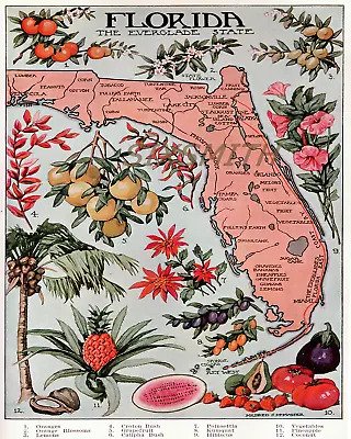 FLORIDA MAP Vintage Illustration Fine Art Giclee High Res 8x10 Print • $14.99