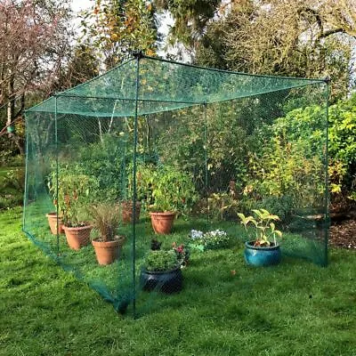 No-Frills Fruit & Veg Cage With BIRD NET – 1.6m High (Various Sizes) • £43.98