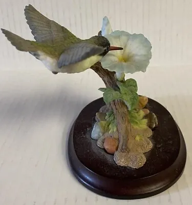 Maruri White-Eared Hummingbird W/ Morning Glory Figurine PH-2032 - Beautiful! • $49.99