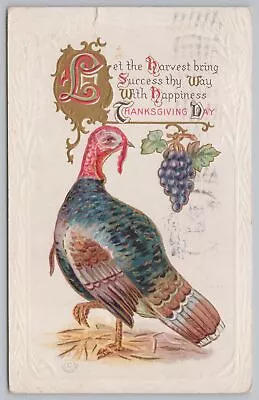 Holiday~Turkey Grapes & Thanksgiving Day~Vintage Postcard • $2.80