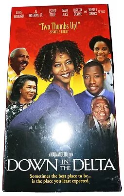 Down In The Delta VHS New In Package Excellent Condition • $5