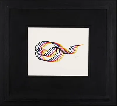 $495 • Buy Yaacov Agam Serigraph On Paper Hand Signed & Numbered Custom Framed
