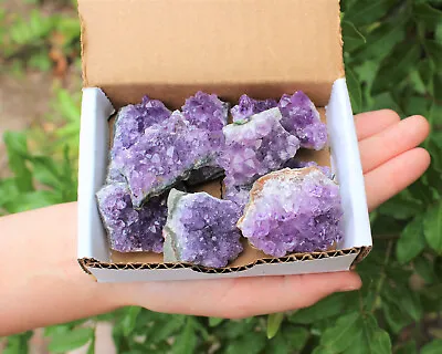 Natural Amethyst Cluster Druze Collection Box: 7 - 9 Oz Box Lot 6 - 10 Pieces • $14.90