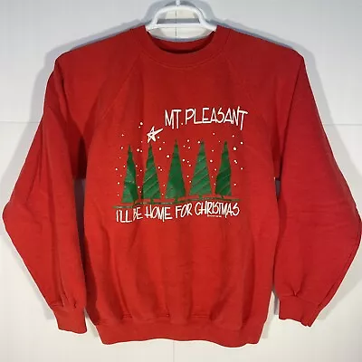 Vintage 1990 Hanes 50/50 Mount Pleasant Christmas Crewneck Sweatshirt Large READ • $4.99