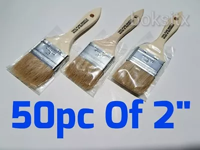 50 Pc 2  Chip Brush Brushes  Paint Glue Touchups 100% Pure Bristle • $35.40