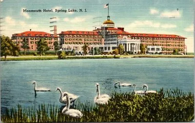 Monmouth Hotel Spring Lake N.J. Ducks Water Fowl View Vintage Postcard  • $5.19