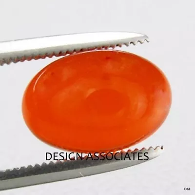 MEXICAN FIRE OPAL 8 X 6 MM OVAL CUT CABOCHON ALL NATURAL BEAUTIFUL COLOR • $5.99