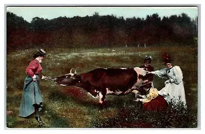 Vitorian Women Milking A Cow Unp 1908c • $4.25