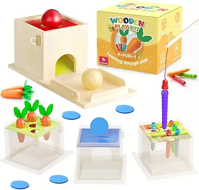 4 In 1 Educational Montessori Toy Permanence Box Magnetic Worm Game Carrot Ha • $10