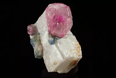 INCREDIBLE UNIQUE Gem Ruby Crystal With Blue Green Pargasite On Calcite MOGOK • $182.49
