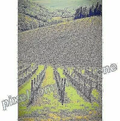 Modern Paintings Poster Furniture Vineyards Wine Tuscany Red Chianti 100X140 • $17.70