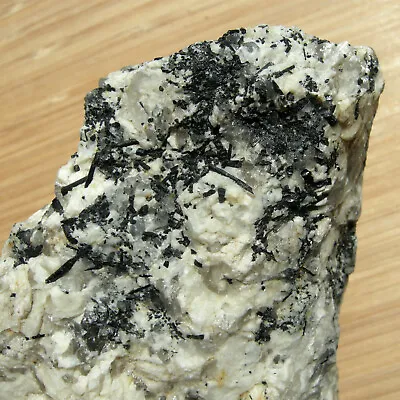 Black Tourmaline Crystals And Mica On Quartz Rich Rock Natural Rough Specimen • $10