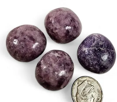 Lepidolite Crystal Polished Stones Brazil 44.5 Grams 4 Piece Lot • $6.99