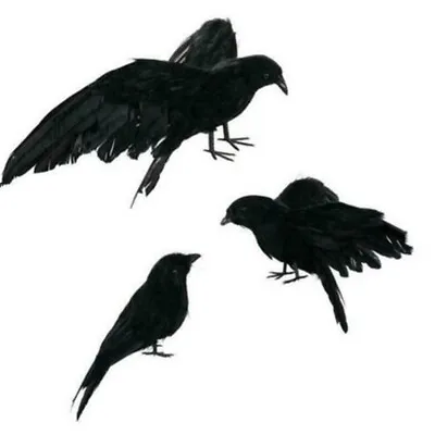 Halloween Stuffed Feather Crow Bird Black Ravens Fancy Prop Dress Up Home • £3.90