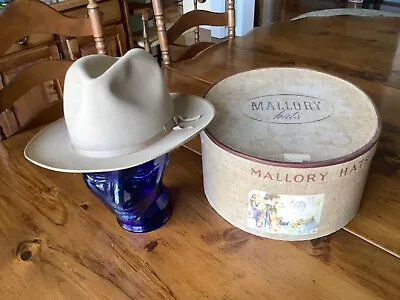 Vintage Stetson Hat W/ Vintage Mallory Hat Box • $36