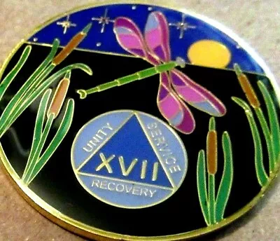 Black Gold Blue DragonFly Alcoholics Anonymous AA 17 Year Medallion Token Coin • $19.81