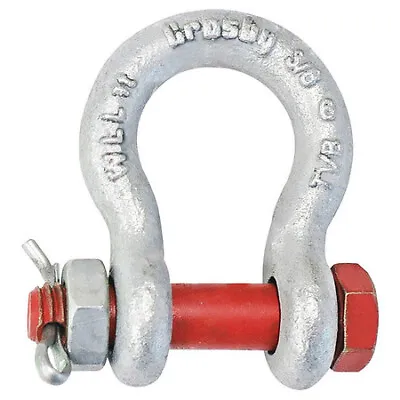 Crosby 1019466 Anchor Shackle1/4  Body SzGalvanized • $15.75