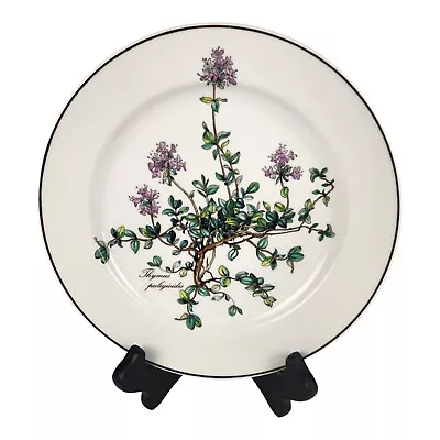 Villeroy & Boch ☆ Botanica ☆ 8 1/4  SALAD PLATE Thymus Pulegioides No Root • $14.99