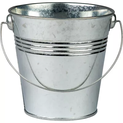 Teacher Created Resources® Metal Bucket TCR20829 UPC 088231908296 • $13.99