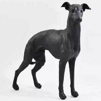 £31 • Buy Greyhound Standing Up Bronze Effect Sculpture Home Decor Birthday Gift