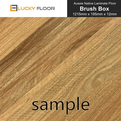 12mm Brush Box Laminate Flooring Sample Floating Timber Floor Boards Click Lock • $1.99