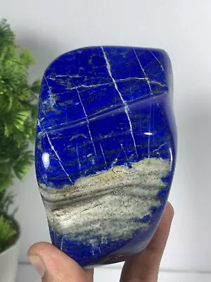 574Gram Lapis Lazuli Freeform Rough Tumbled Polished AAA+ Grade From Afghanistan • $69.99