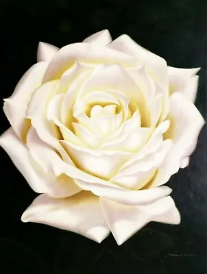 White Rose - #1 48x36 100% Hand Painted Oil Painting On Canvas • $99.99