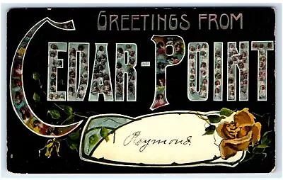 1910 Cedar Point OH Postcard-  LARGE LETTER GREETINGS FROM CEDAR POINT • $7.69
