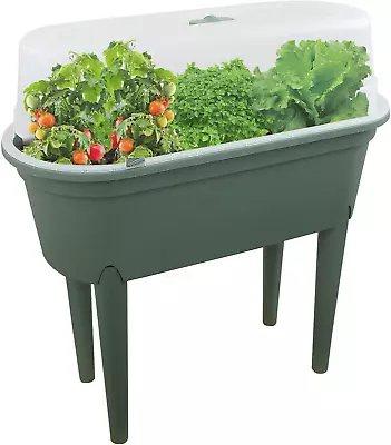 Raised Garden Bed Planter Box Outdoor Patio Greenhouse Flower Vegetable Grow Bo • £41.99