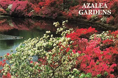 Muskogee Oklahoma Azalea Gardens Honor Heights Park Vintage Postcard Unposted • $2.97