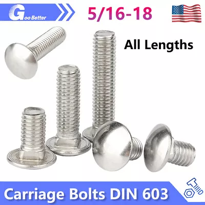 5/16-18 Carriage Bolt Screws DIN 603 A2 Stainless Steel Round Square All Lengths • $16.11