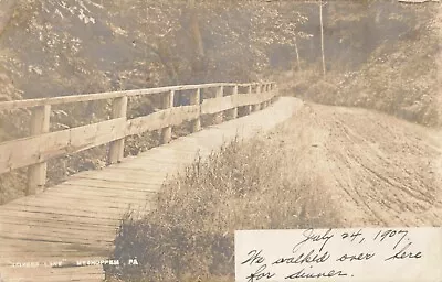 Lovers Lane Meshoppen Pennsylvania PA 1907 Real Photo RPPC • $19.95