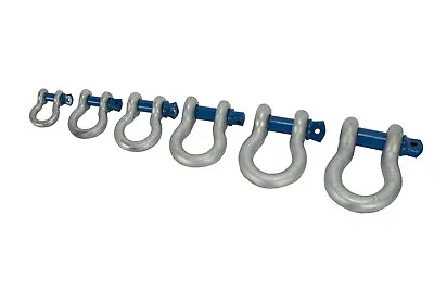 TEMCo D Ring Bow Shackle Screw Pin Clevis Rigging Jeep Towing • $239.76