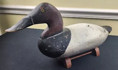 Antique Chesapeake Bay Canvasback Decoy Maryland Duck VTG Wooden Working Bird  • $275